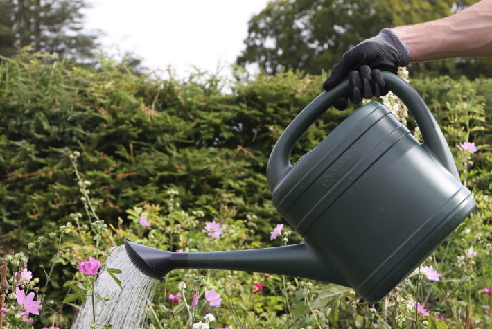 How to keep your garden watered during a hosepipe ban