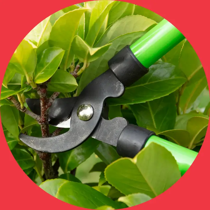 Garden Tools