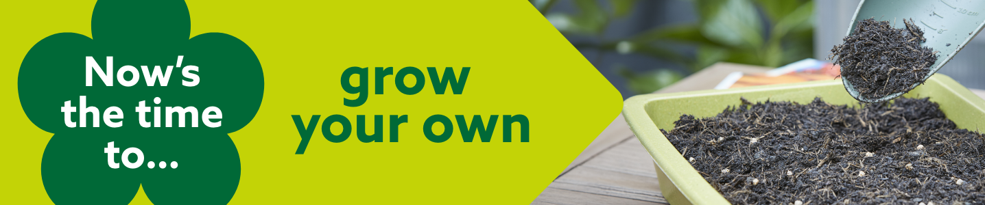Grow your own