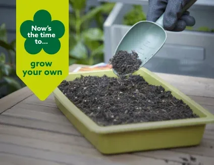 Grow your own
