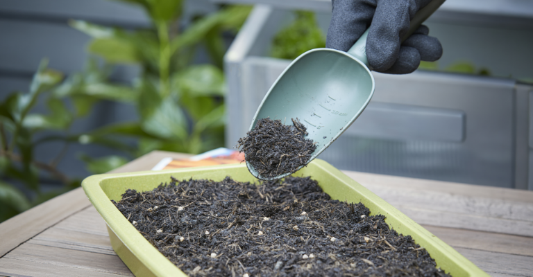 Grow your own