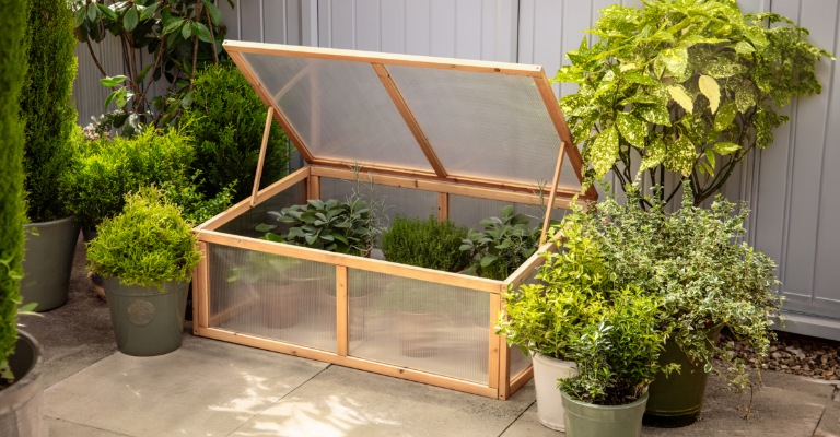 Grow your own