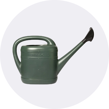 Grow your own