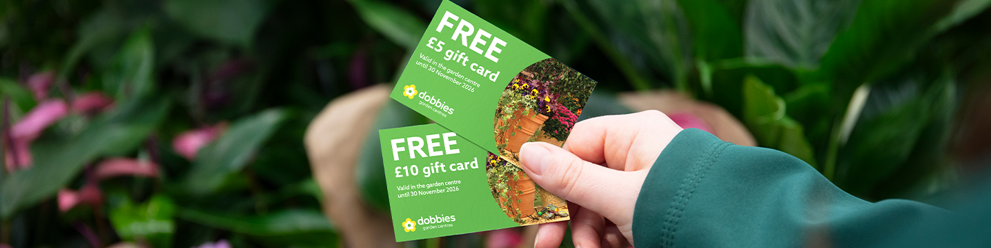 Free gift card