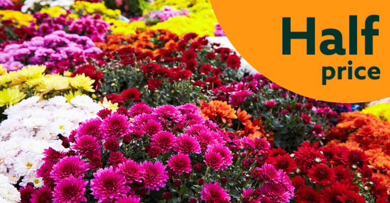 August Bank Holiday offers 