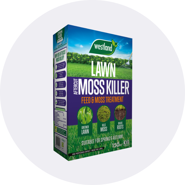 Weed & Moss Control