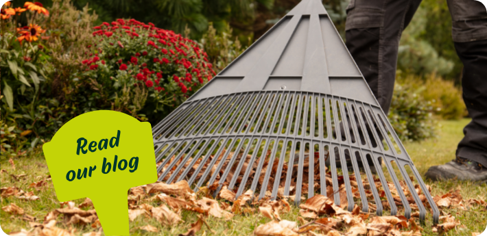 Tidy up your autumn garden