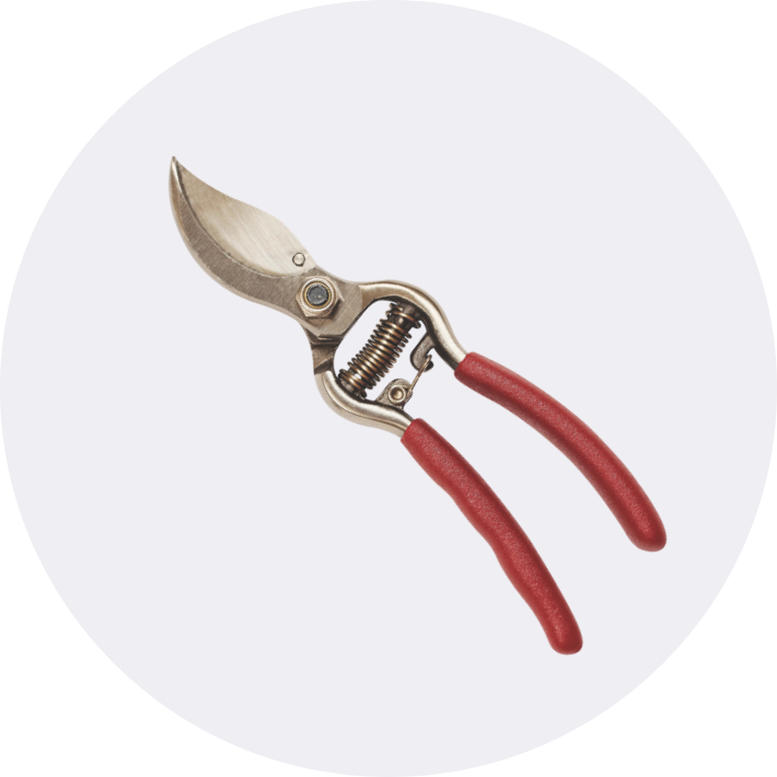 Cutting & Pruning Tools