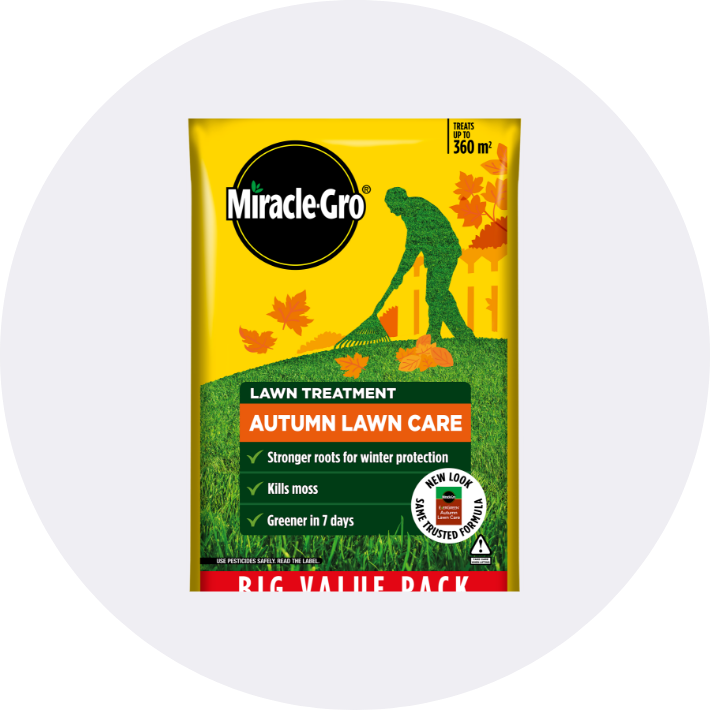 Lawn Feed & Seed