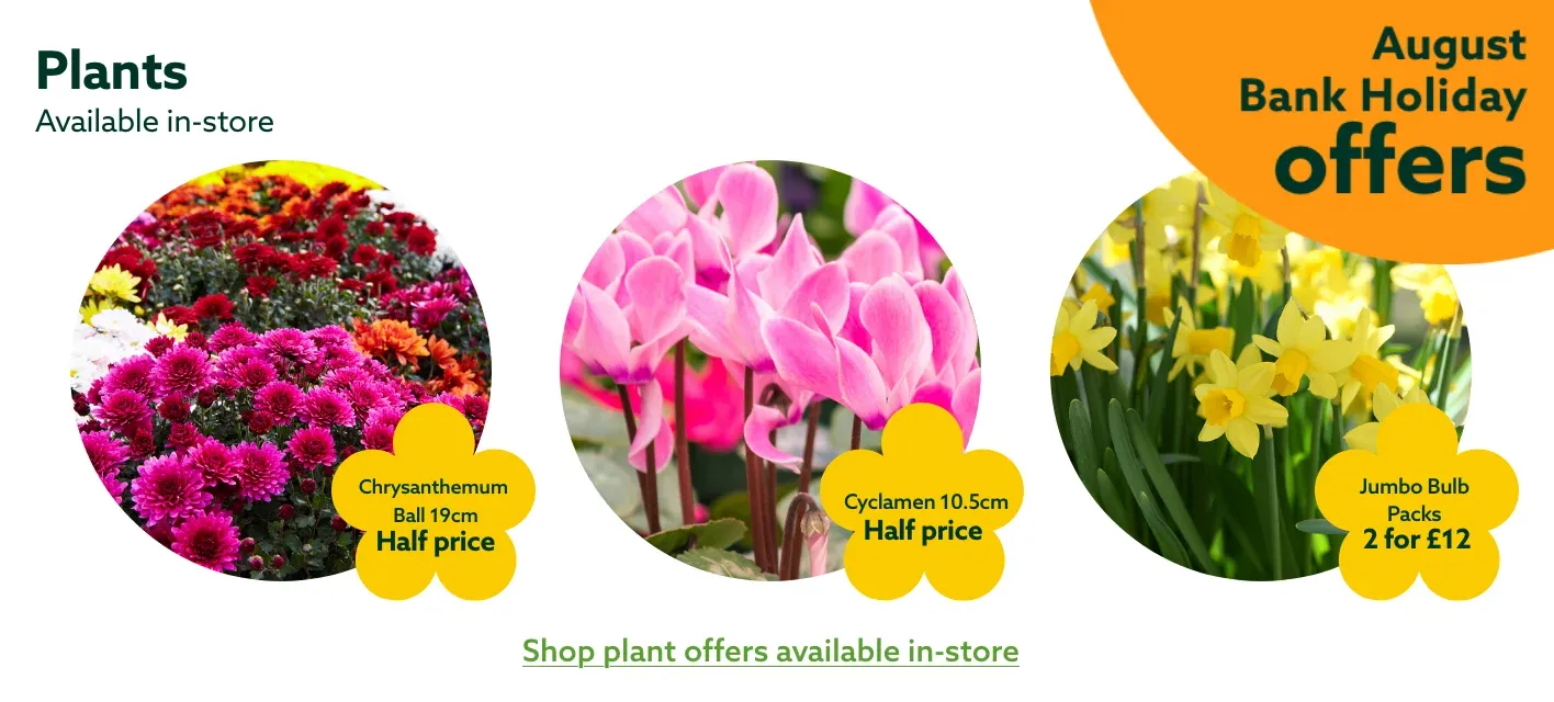 August Bank Holiday offers