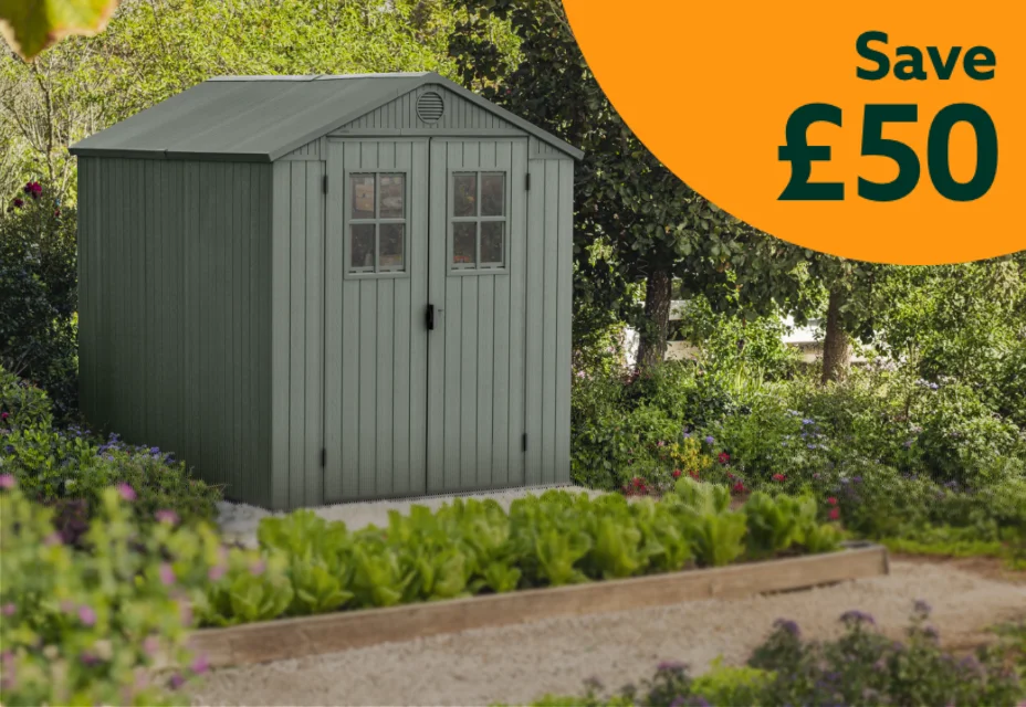 August Bank Holiday offers