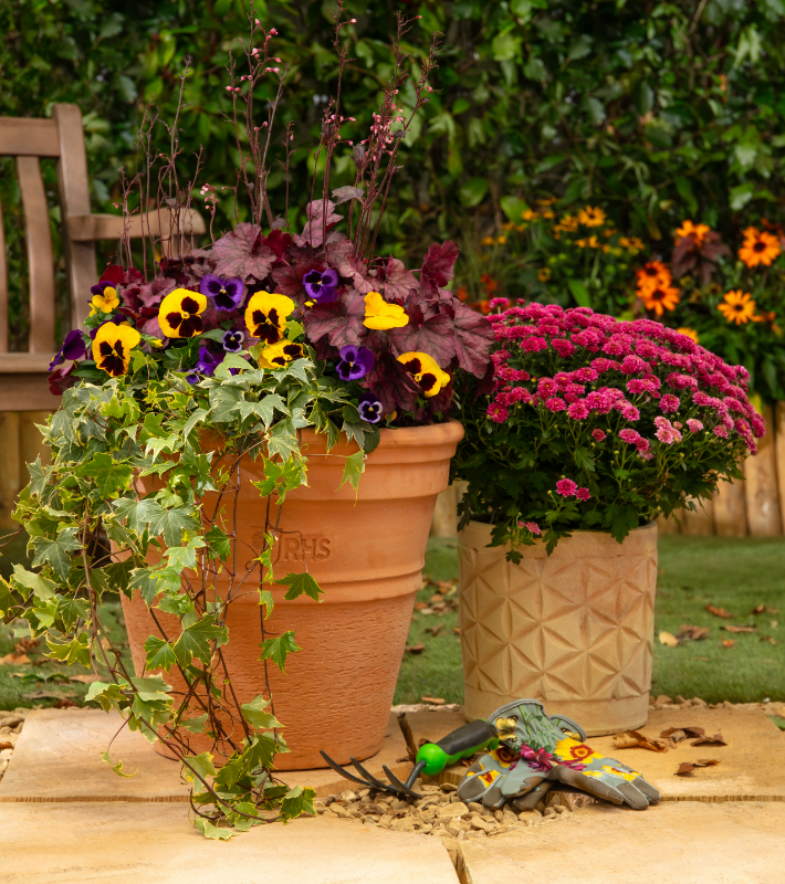 Gardening tips for September