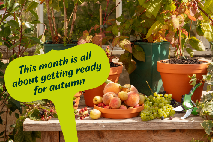Gardening tips for September