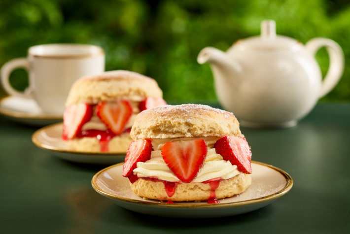 2 for 1 Cream Scones