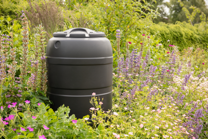 August Gardening Tips