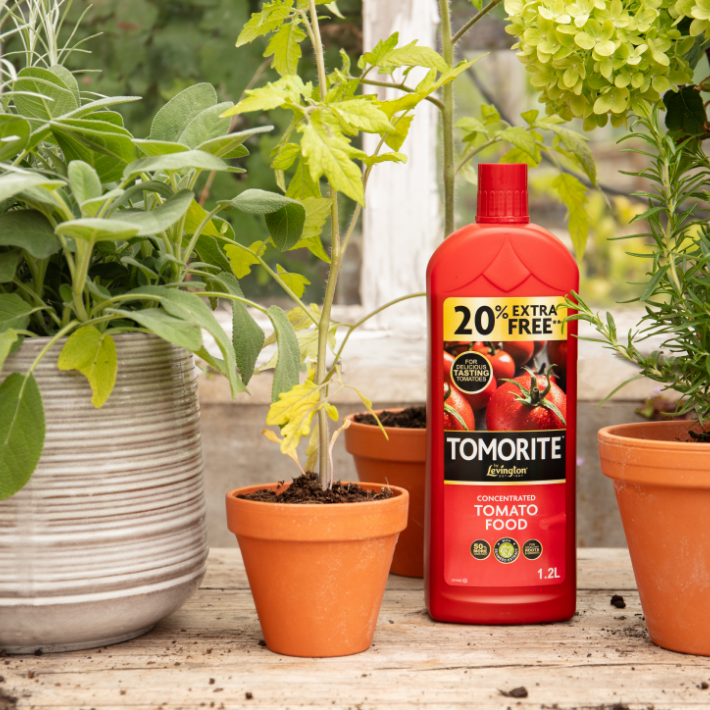 August Gardening Tips