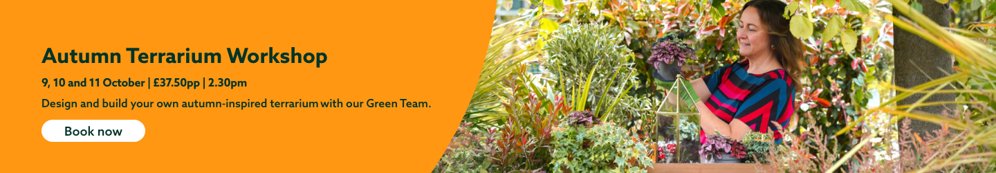 Autumn Terrarium Workshop