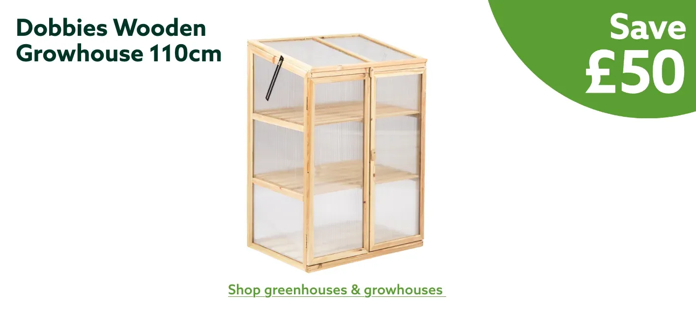 Save £50 Dobbies Wooden Growhouse