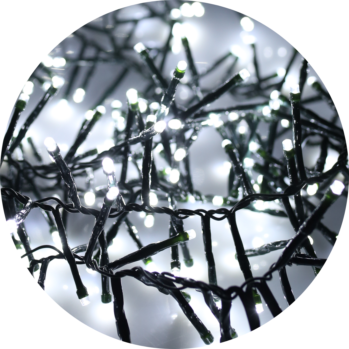 Bright White Christmas Lights