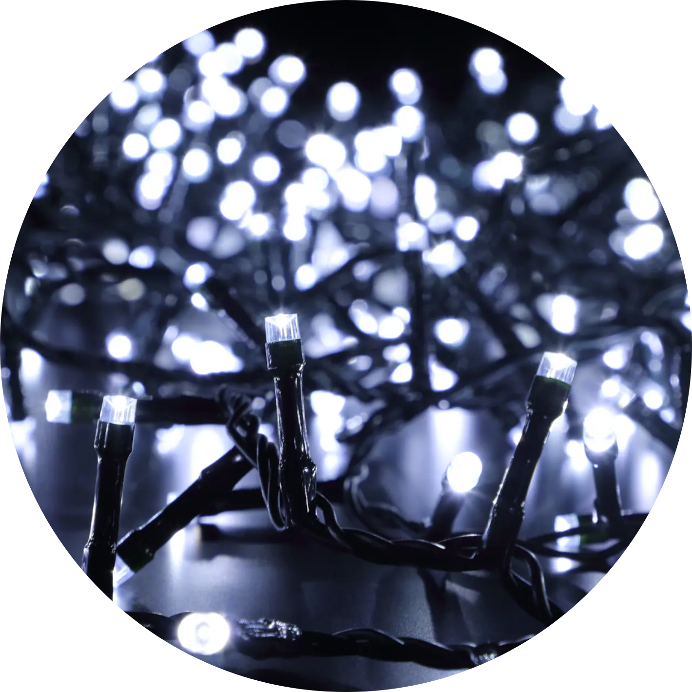Cool White Christmas Lights