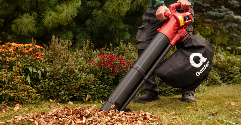 Now's the time to tidy your garden