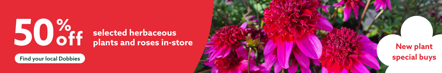 50% off selected herbaceous plants and roses