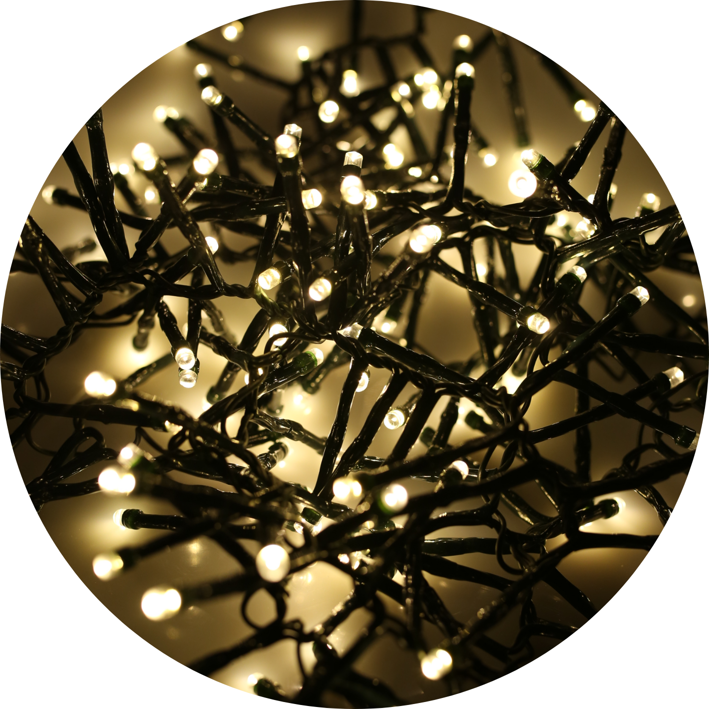 Warm White Christmas Lights