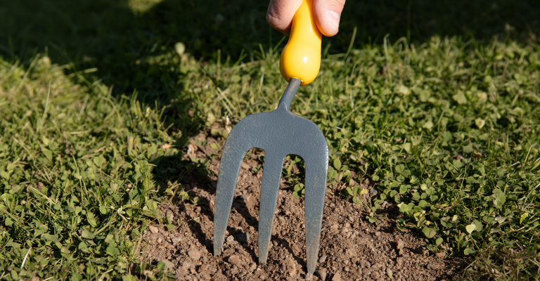 Now's the time to repair your lawn