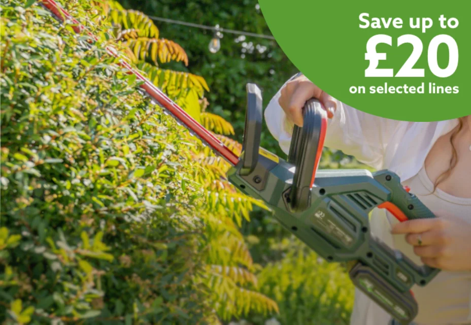 Save up to £20 on selected lines