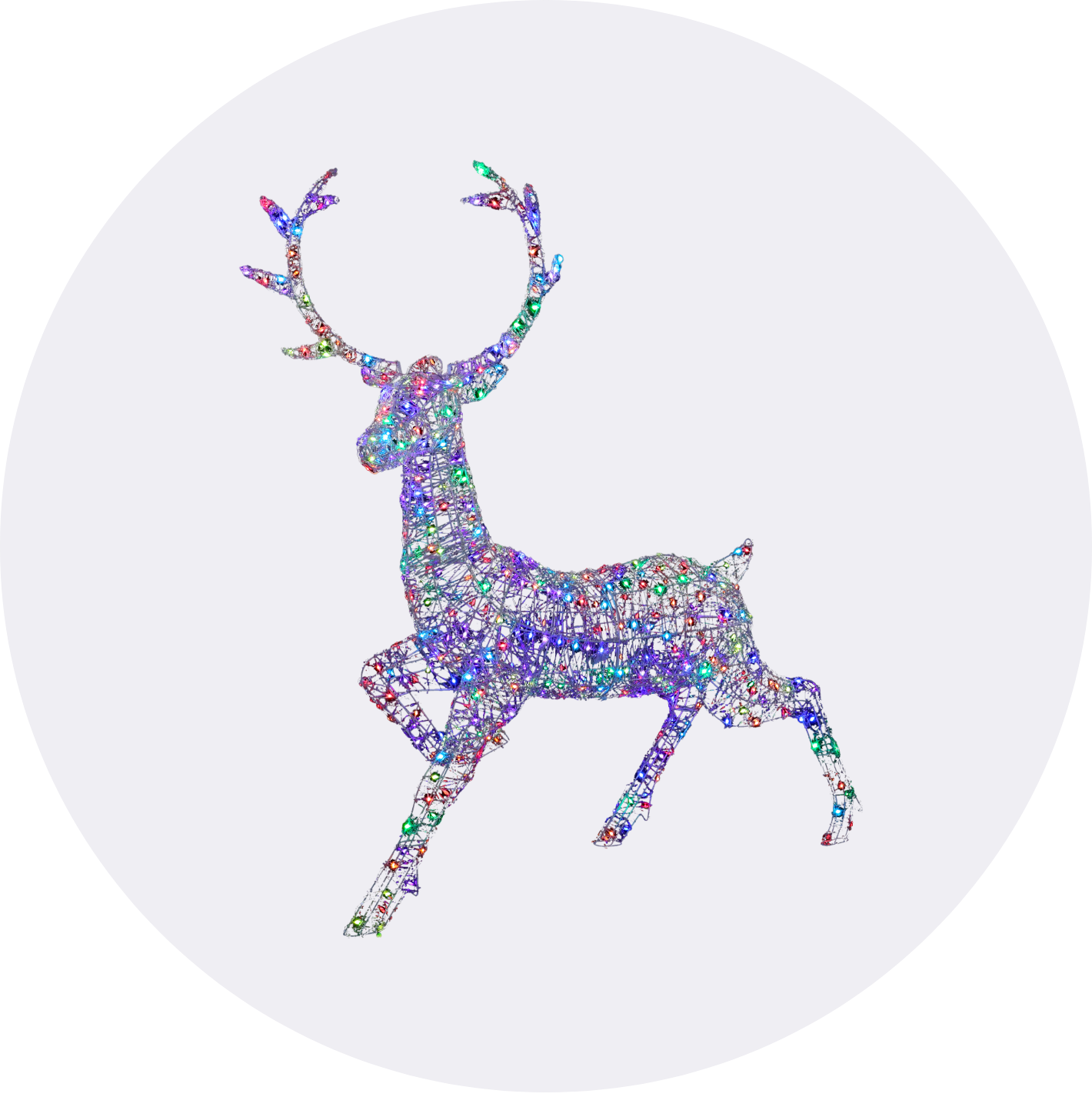 Outdoor Christmas Lights