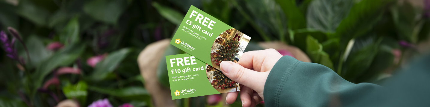 Free gift card