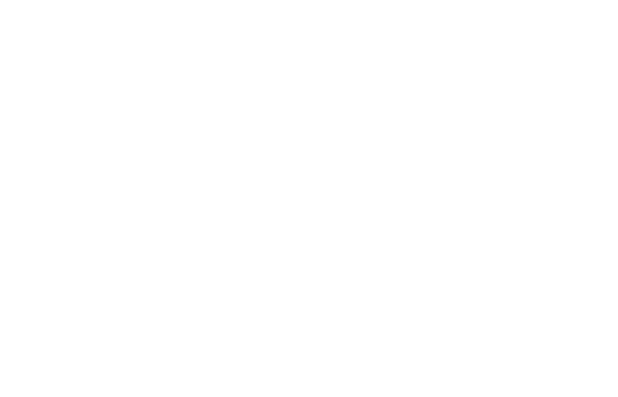 Christmas has arrived at Dobbies