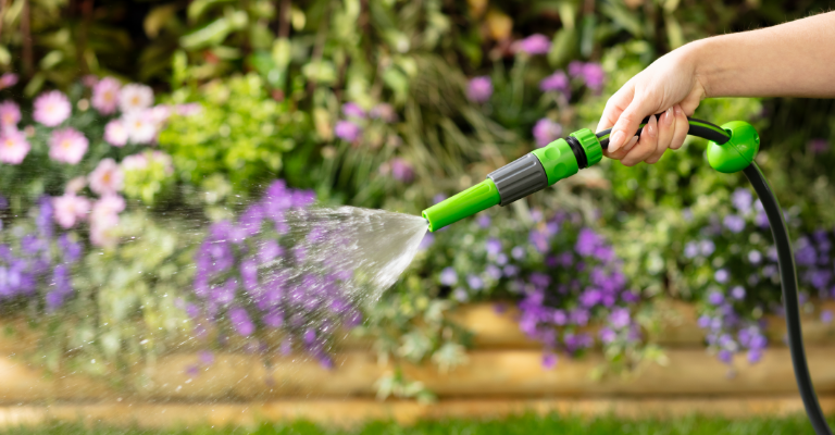 Now's the time to repair your lawn