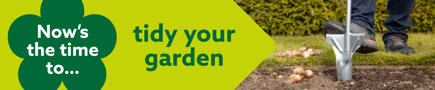 Now's the time to tidy your garden