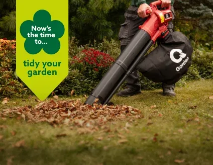 Now’s the time to tidy your garden
