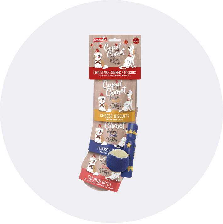Christmas Gifts For Pets