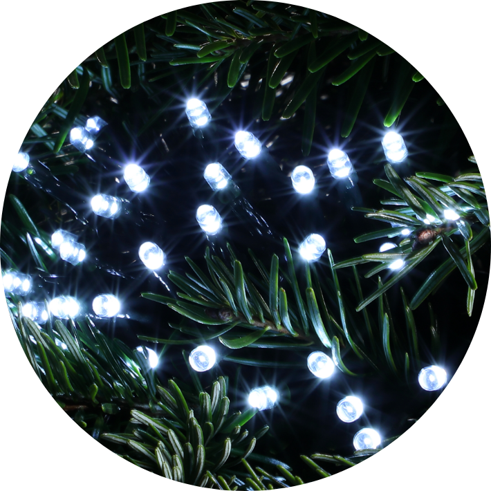 White Christmas Lights