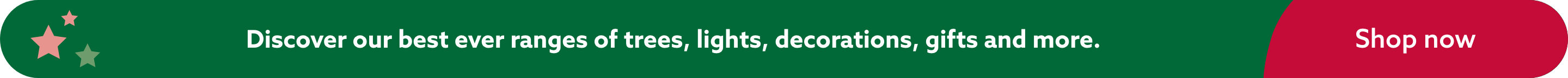 Everything you need for Christmas