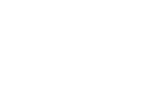 10% off Selloranda artificial Christmas tree range