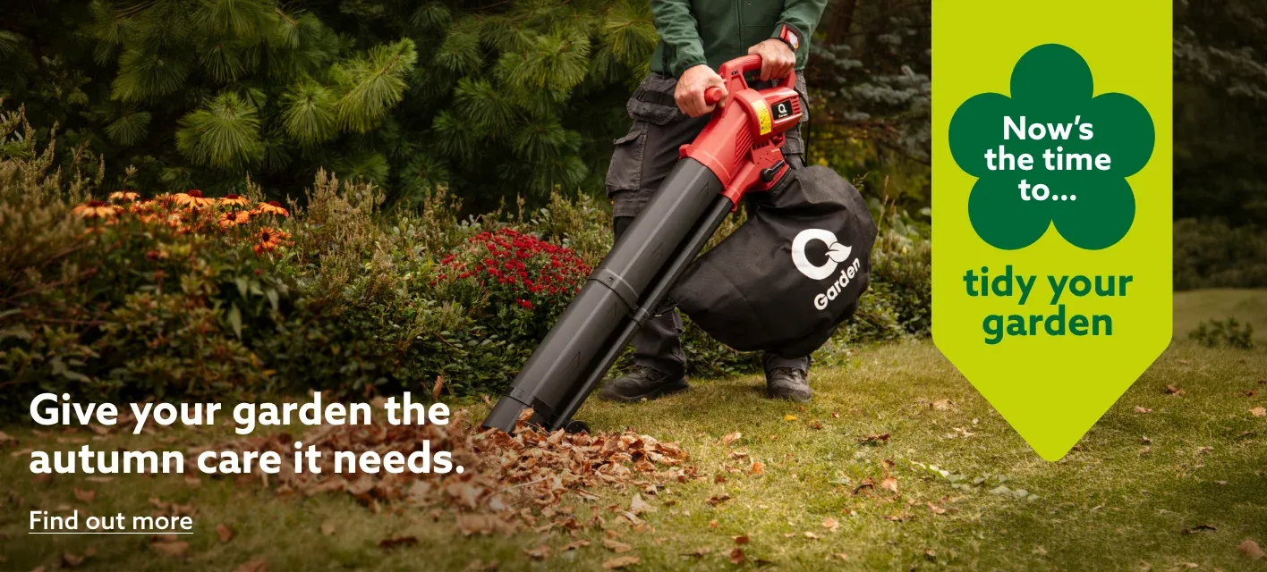 Now’s the time to tidy your garden
