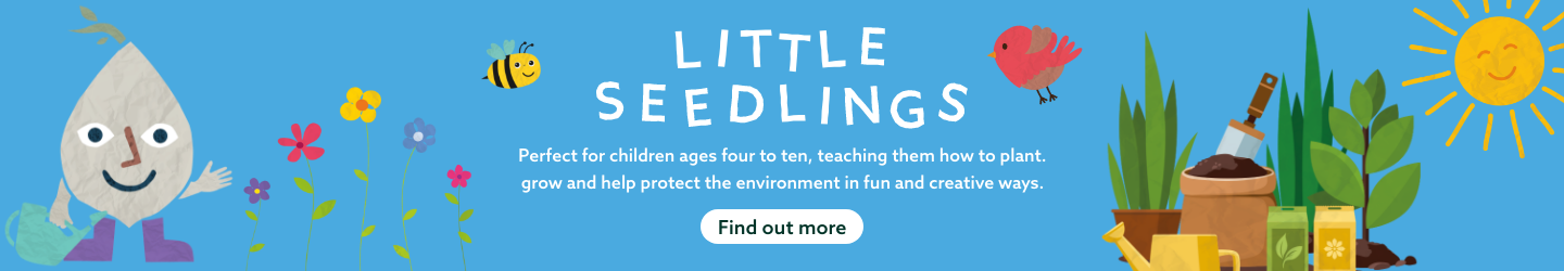 Little Seedlings