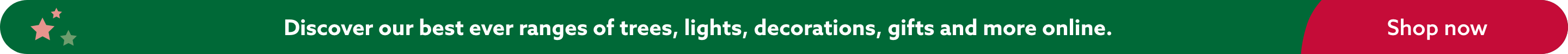 Discover everything you need for Christmas