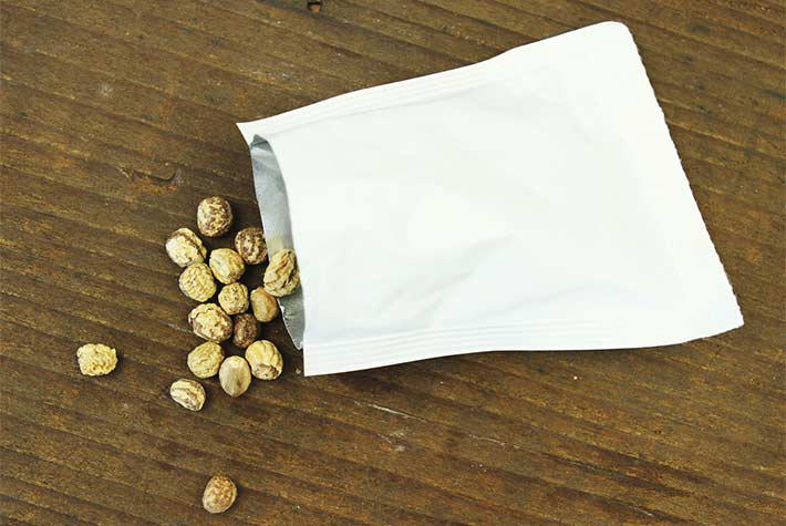 Growing edible flowers