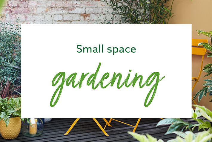 small-space-gardening.jpg