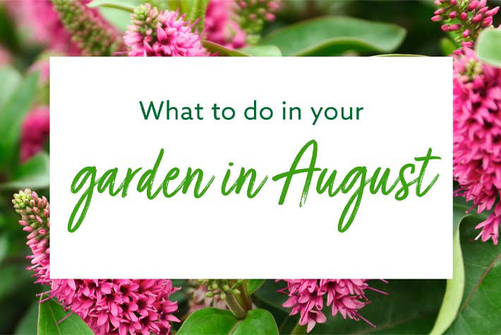 august-garden-expert-event.jpg