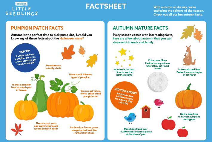 ls-oct-factsheet-tile.jpg