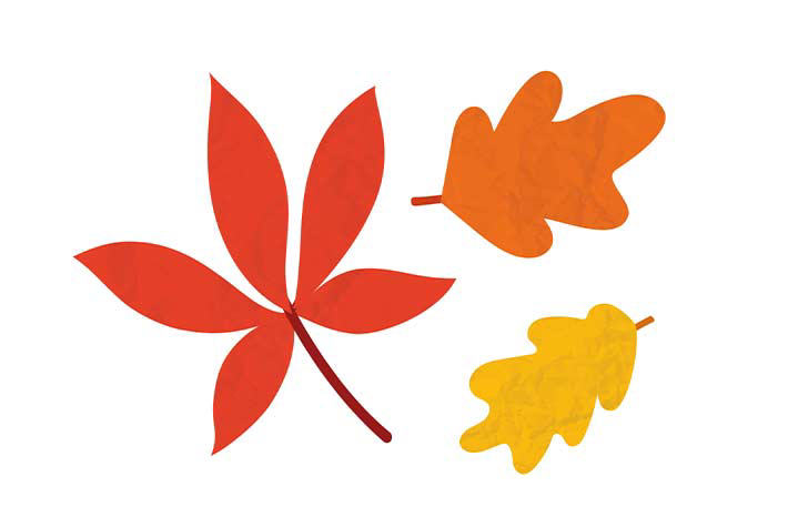 Little Seedlings October