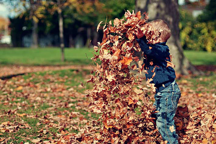 Little Seedlings October