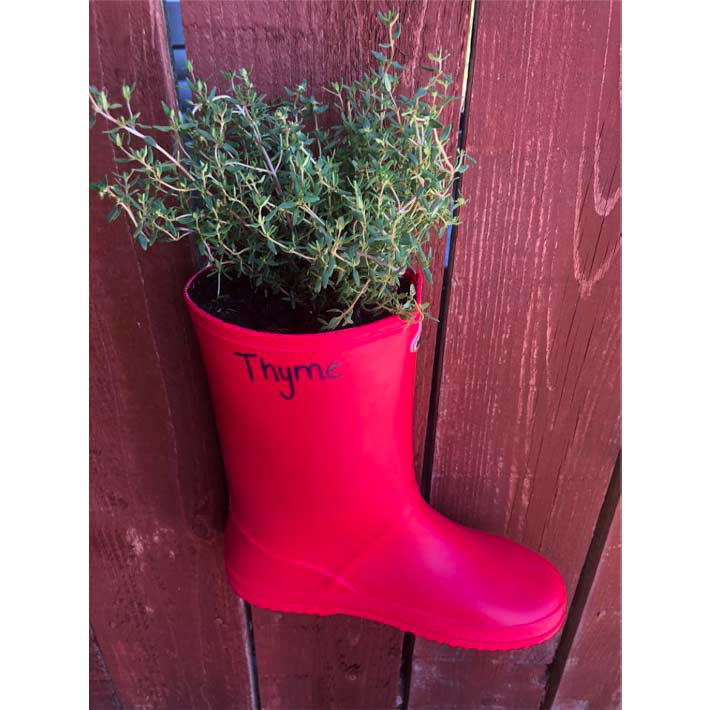 welly-planter-4.jpg