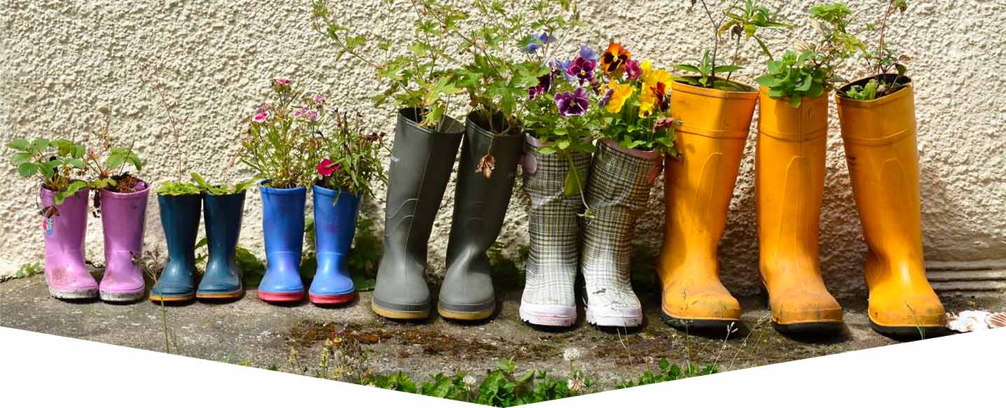 welly-planters-header.jpg